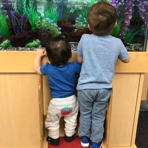 Meet your Posher, Erin